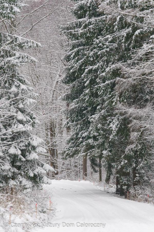 Czarny Kot Mazury Dom Caloroczny Malkinie Exterior foto